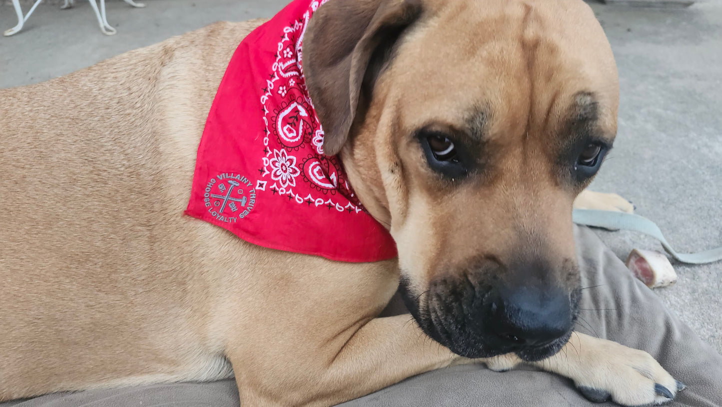Badass Doggy Bandanas