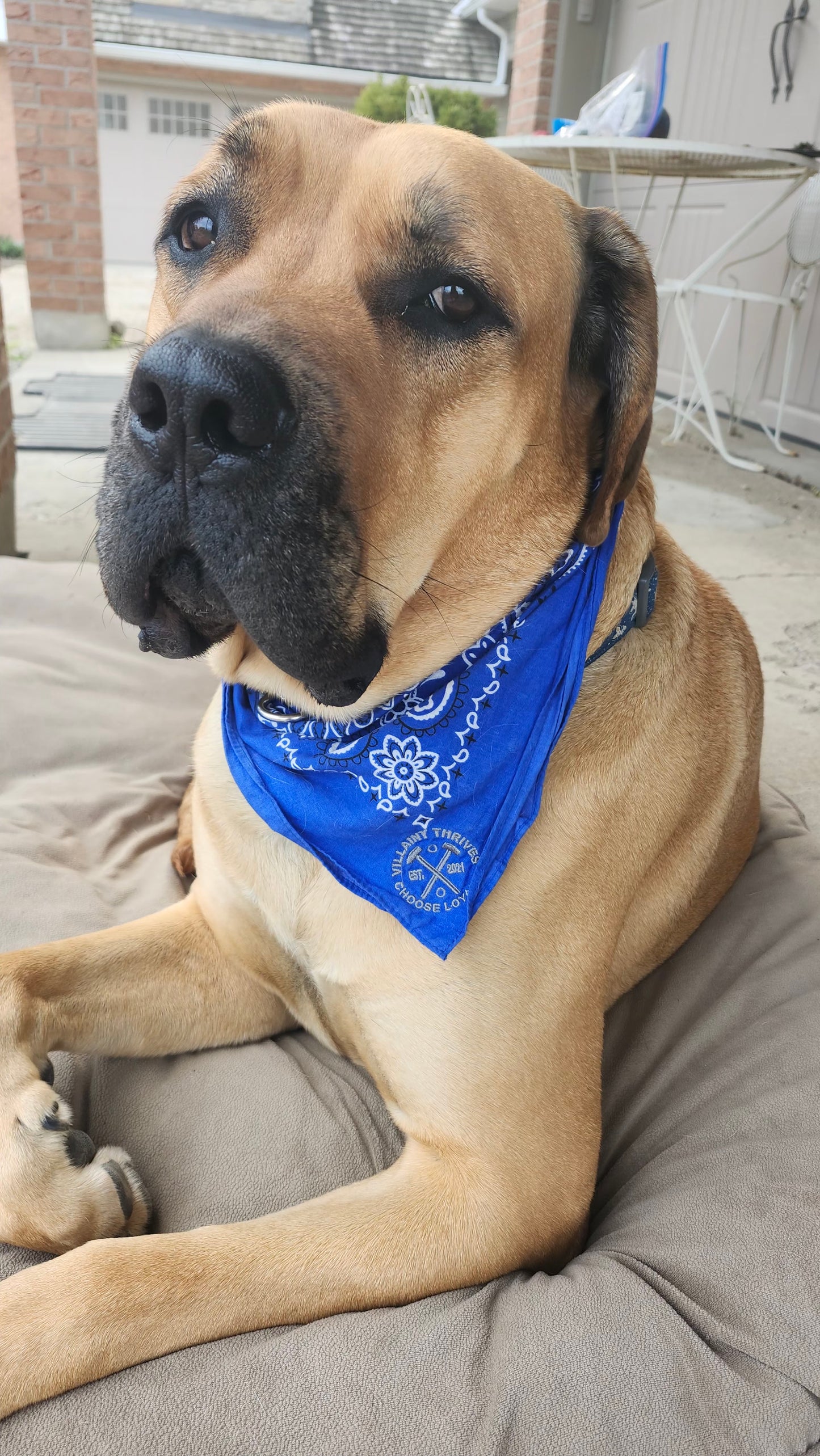 Badass Doggy Bandanas